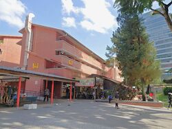 Holland Drive (D10), Shop House #543646121